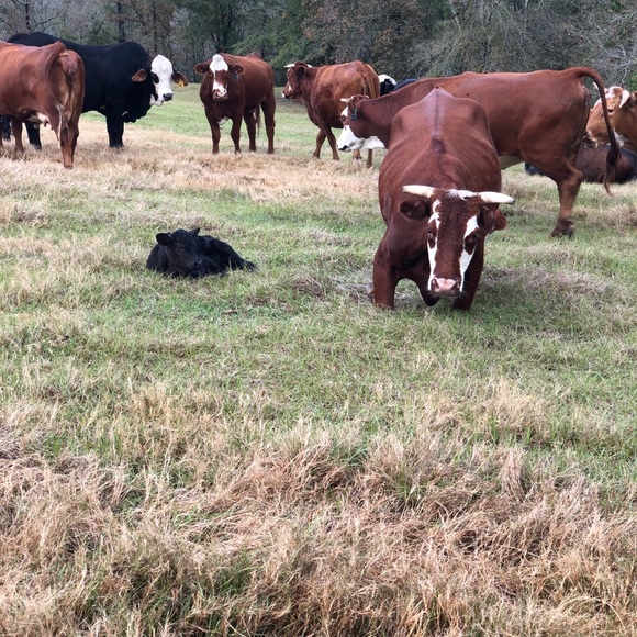 Meet your Posher, Aimee - Picture 1 of 1